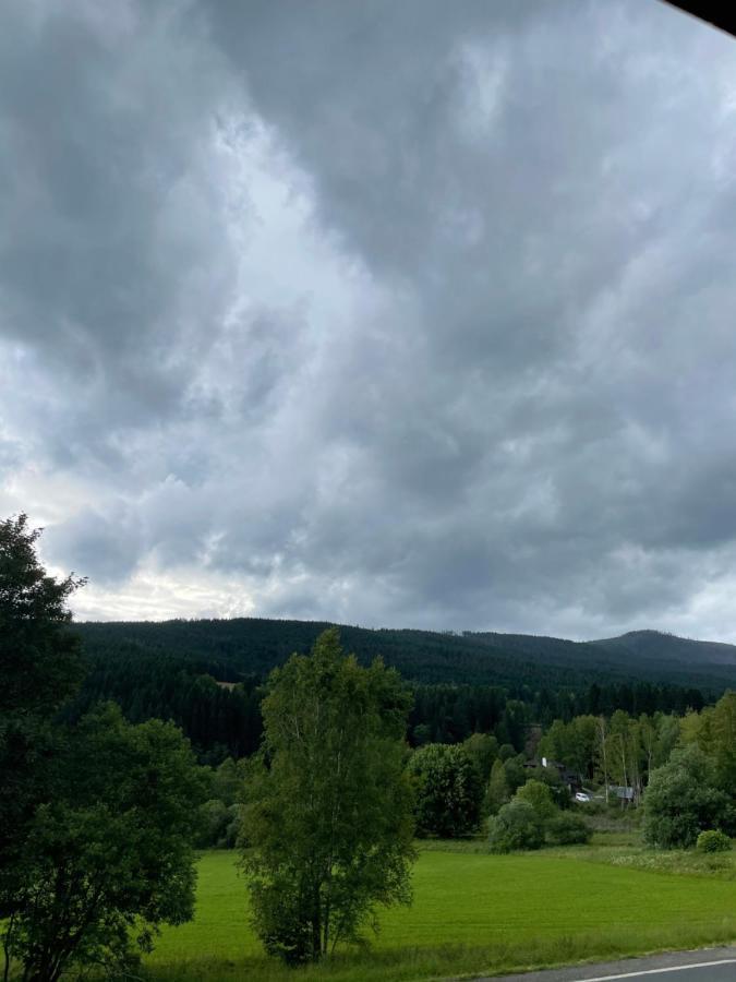 Ubytovani Spicacka Ap2 Železná Ruda エクステリア 写真